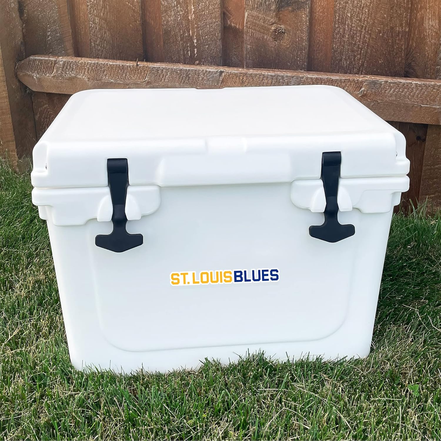 Desert Cactus St. Louis Blues Team NHL National Hockey League Sticker Vinyl Decal Laptop Water Bottle Car Scrapbook (Individual C) - Image 5