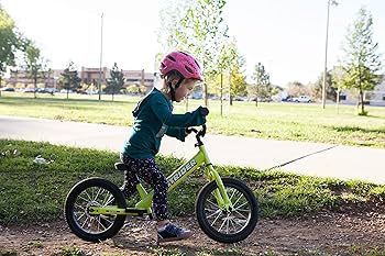 STRIDER 黒 SALOMON サロモン ハイキングシューズ ゴアテックス X WARD