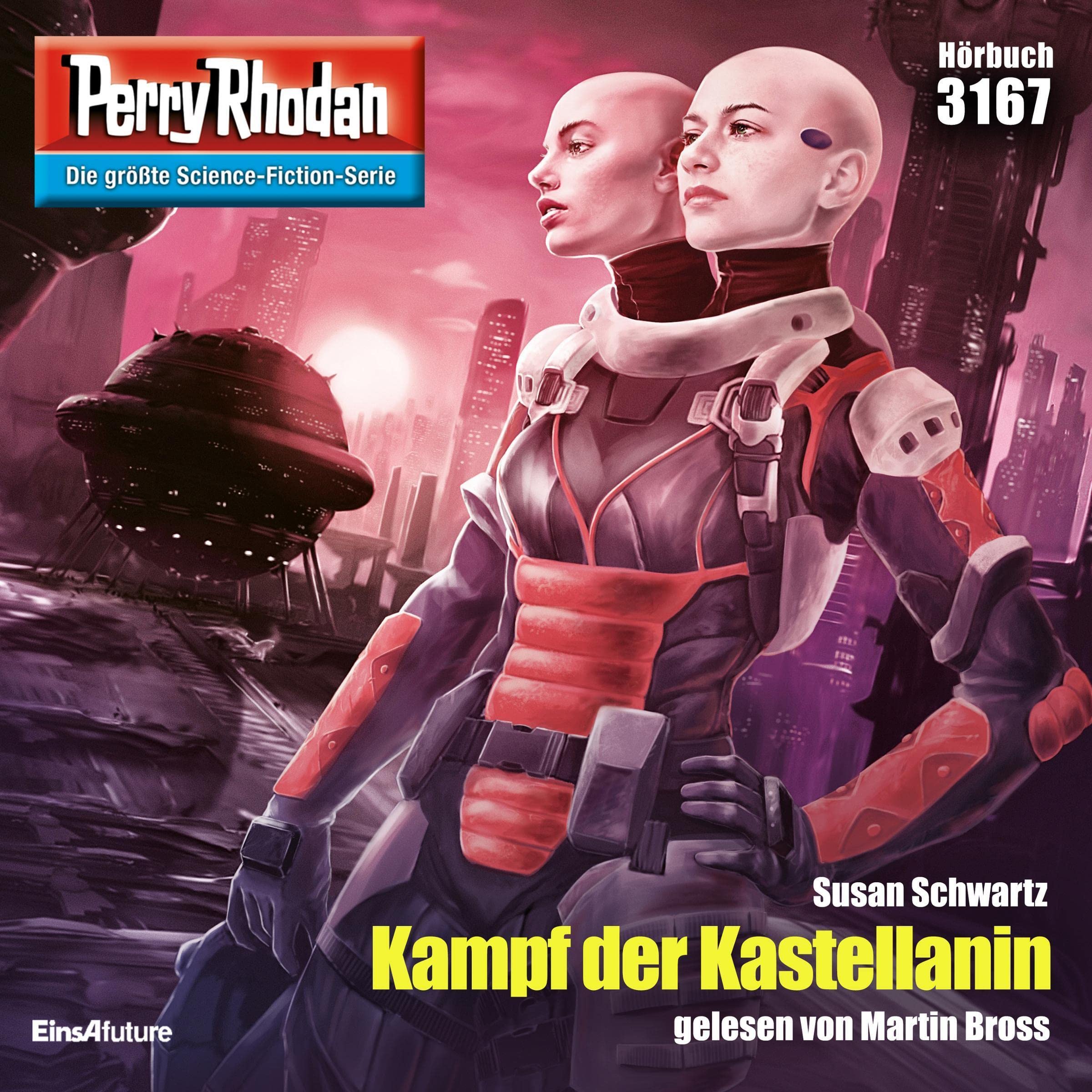 Cover art for Kampf der Kastellanin