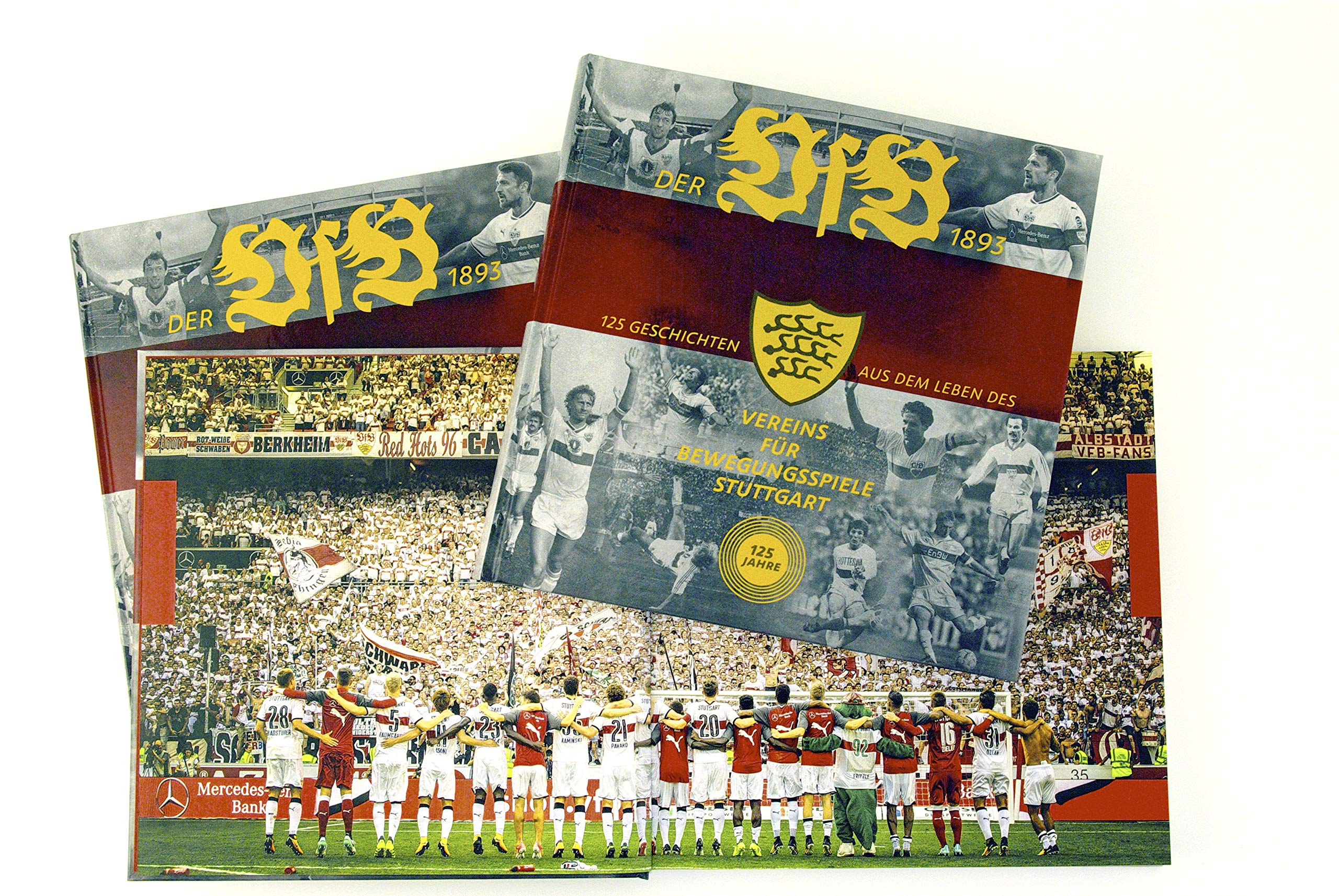 Der VfB 1893: 125 Geschichten aus dem Leben des Vereins für Bewegungsspiele Stuttgart