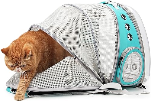 Miniatura 7 de Lollimeow - Mochila para transporte de mascotas, mochila de burbuja para transportar gatos y cachorros, aprobada para aerolíneas, diseñada para