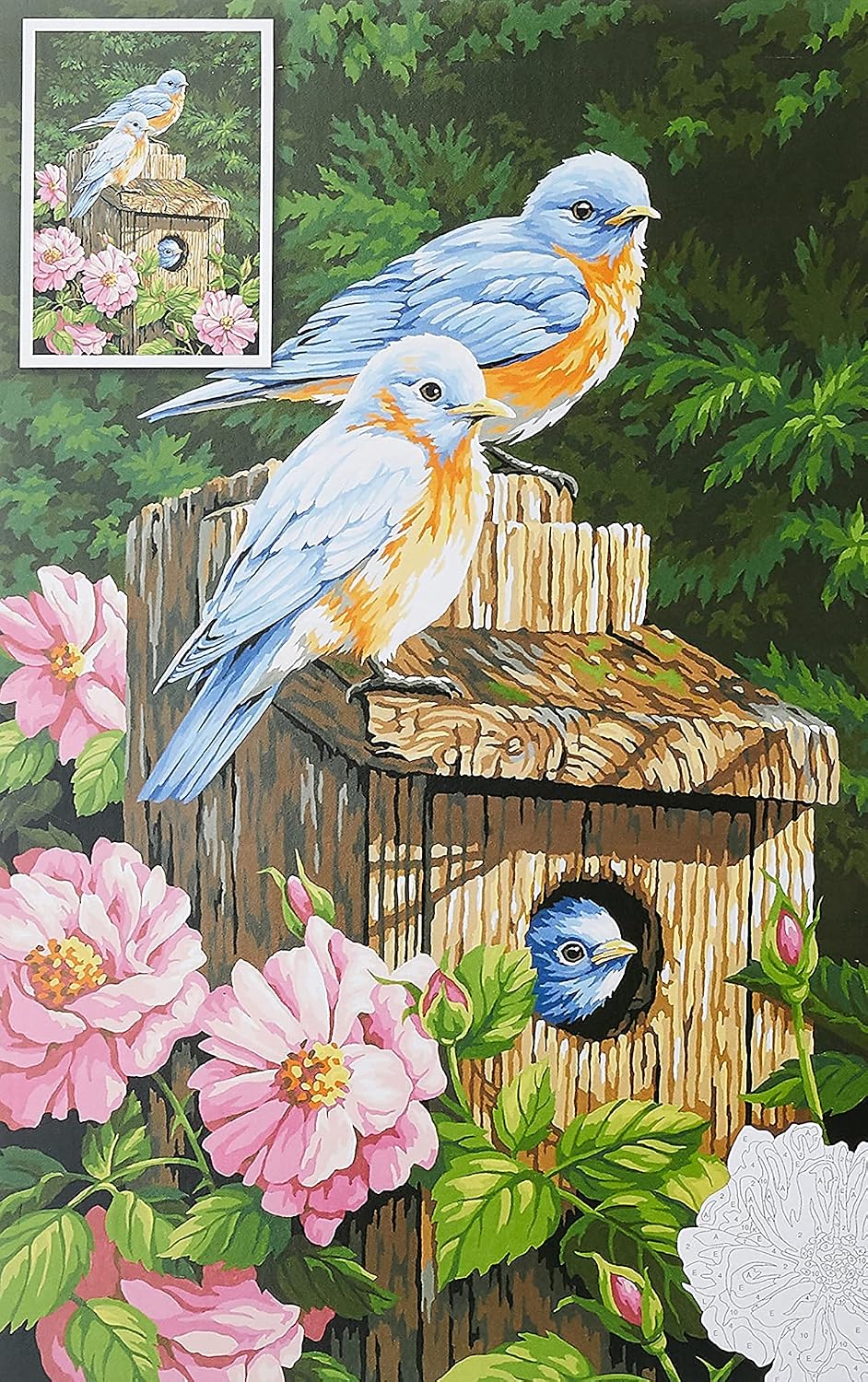 Dimensions PBN 14x20 Garden Bluebirds