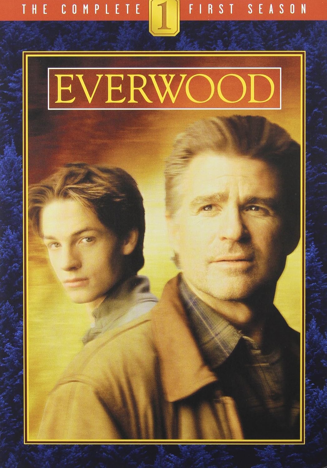 Everwood Seasons 1-4 [DVD] [Region 1] [US Import] [NTSC]