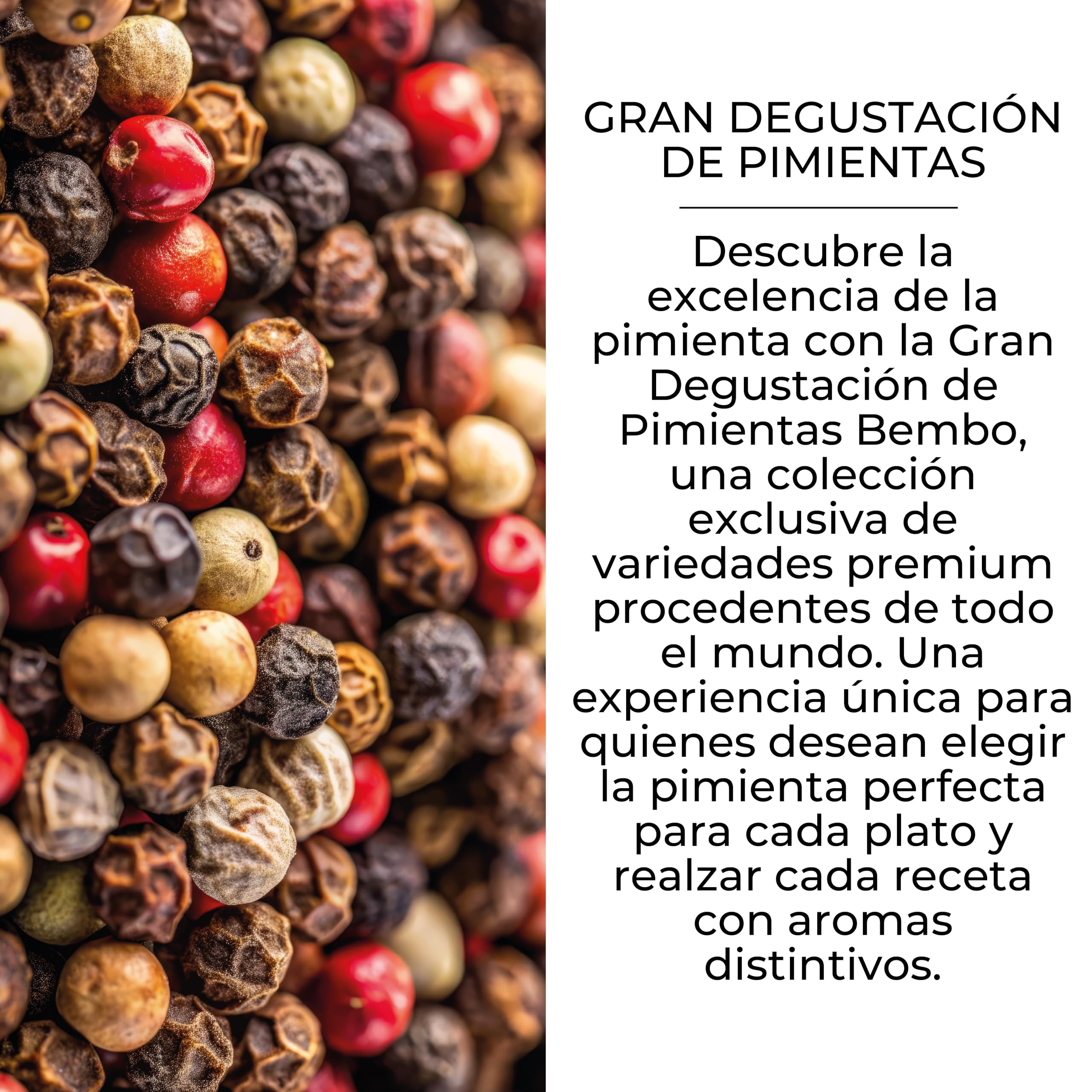 Bembo Set Regalo con 15 Pimientas del Mundo – Colección de Degustación - | 15 pimientas para observar, tocar, oler, probar y comparar. Un viaje sensorial para descubrir sus aromas y sabores.