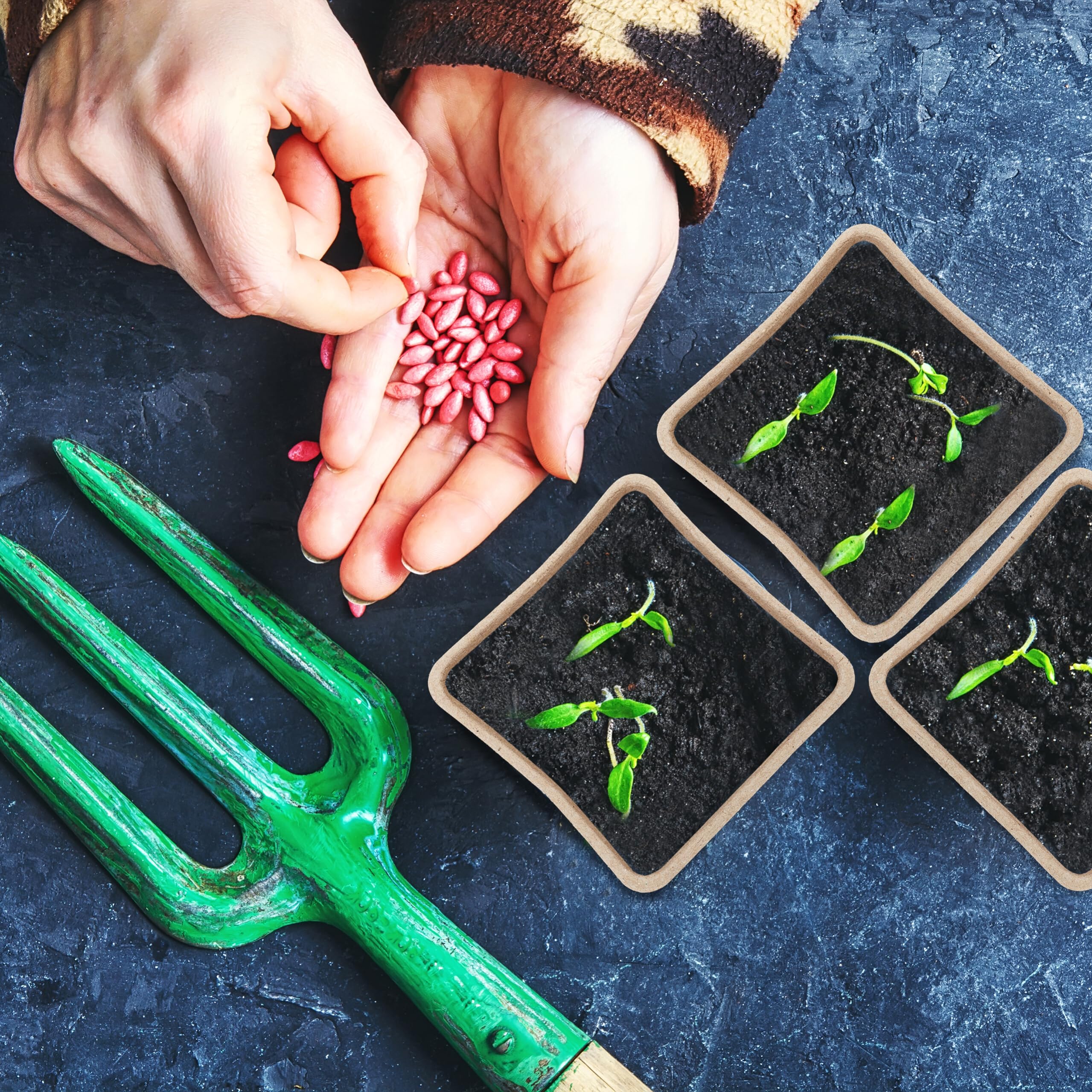 120 Vasetti Biodegradabili Per Piantine - In Torba, 5,5x6x6 Cm, Con Attrezzi - Foto 8