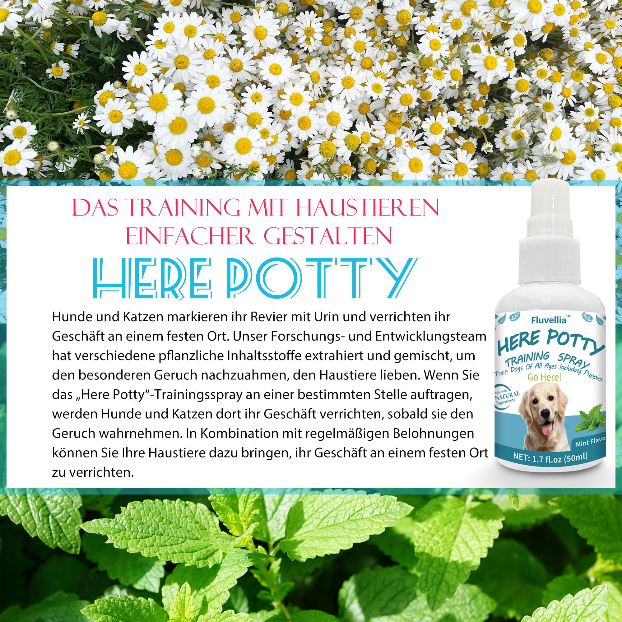 Lot de 2 sprays d'entraînement pour chien Not Here et Here Potty - Ingrédients naturels - 2 flacons pulvérisateurs de 50 ml - Pour chiots et chiens adultes - Arôme d'agrumes et de menthe