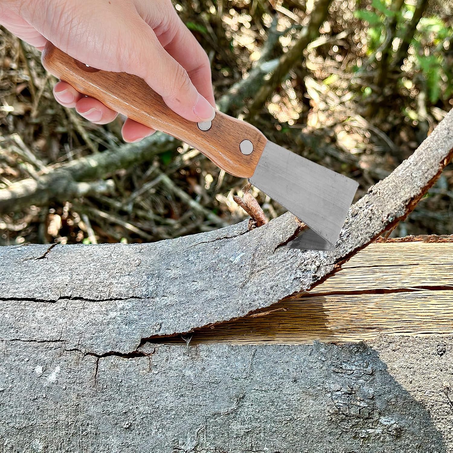HEMOTON Bark Spud for Scratching Tree Trunks Debarking Tool Stainless Steel with Wooden Handle and Removing Decayed Parts of Fruit Trees, for Gardeners and Yard Use