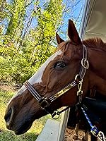 Vista 1 de Leaders - Cabestro de cuero para caballos con placa de nombre grabada personalizada para caballo