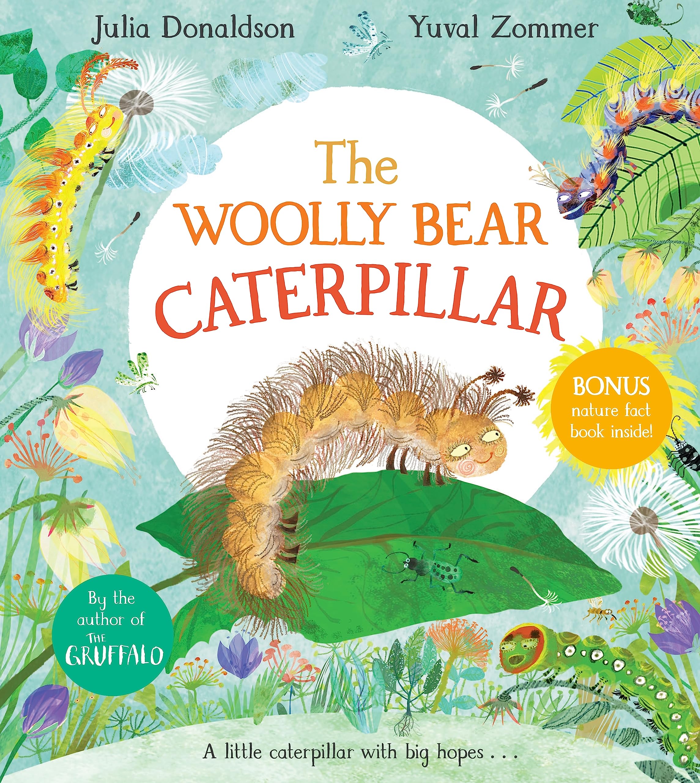 The Woolly Bear Caterpillar
