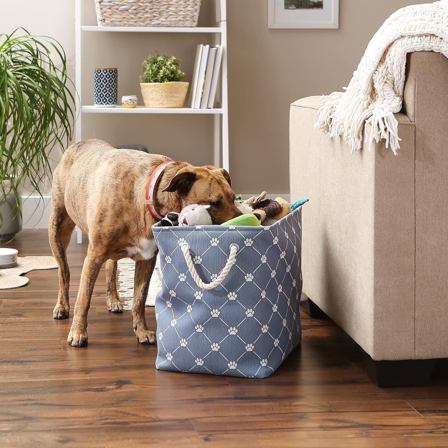 Bone Dry Pet Storage Collection Paw and Bone Print, Large Rectangle, 17.5x12x15 Stonewash Blue Trellis