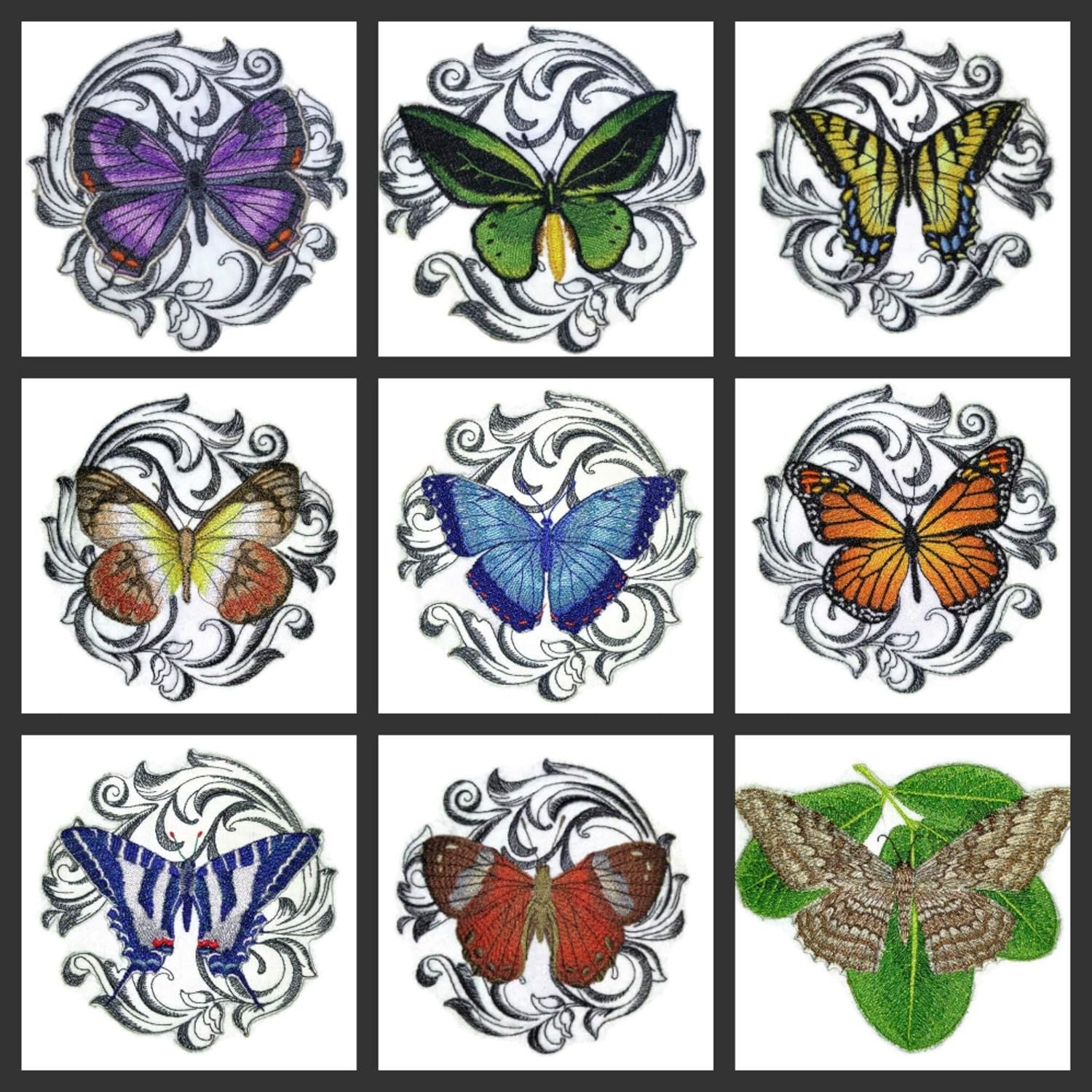 Custom and Unique Amazing Colorful Butterflies [Zebra Swallowtail with Baroque ] Embroidered Iron On/Sew Patch [5" x5"]Made in USA]