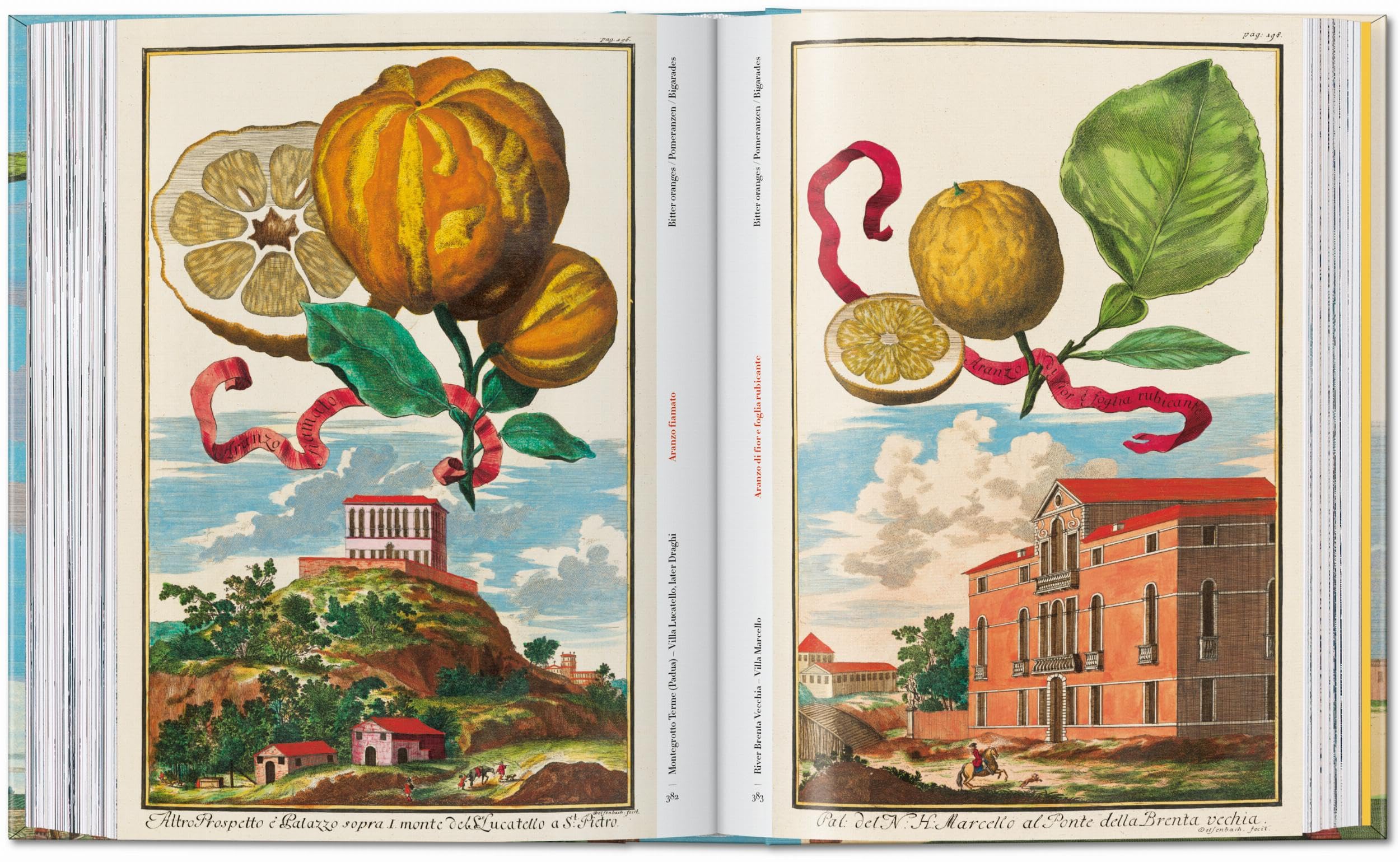 J.C. Volkamer: The Book of Citrus Fruits. 45th Ed.