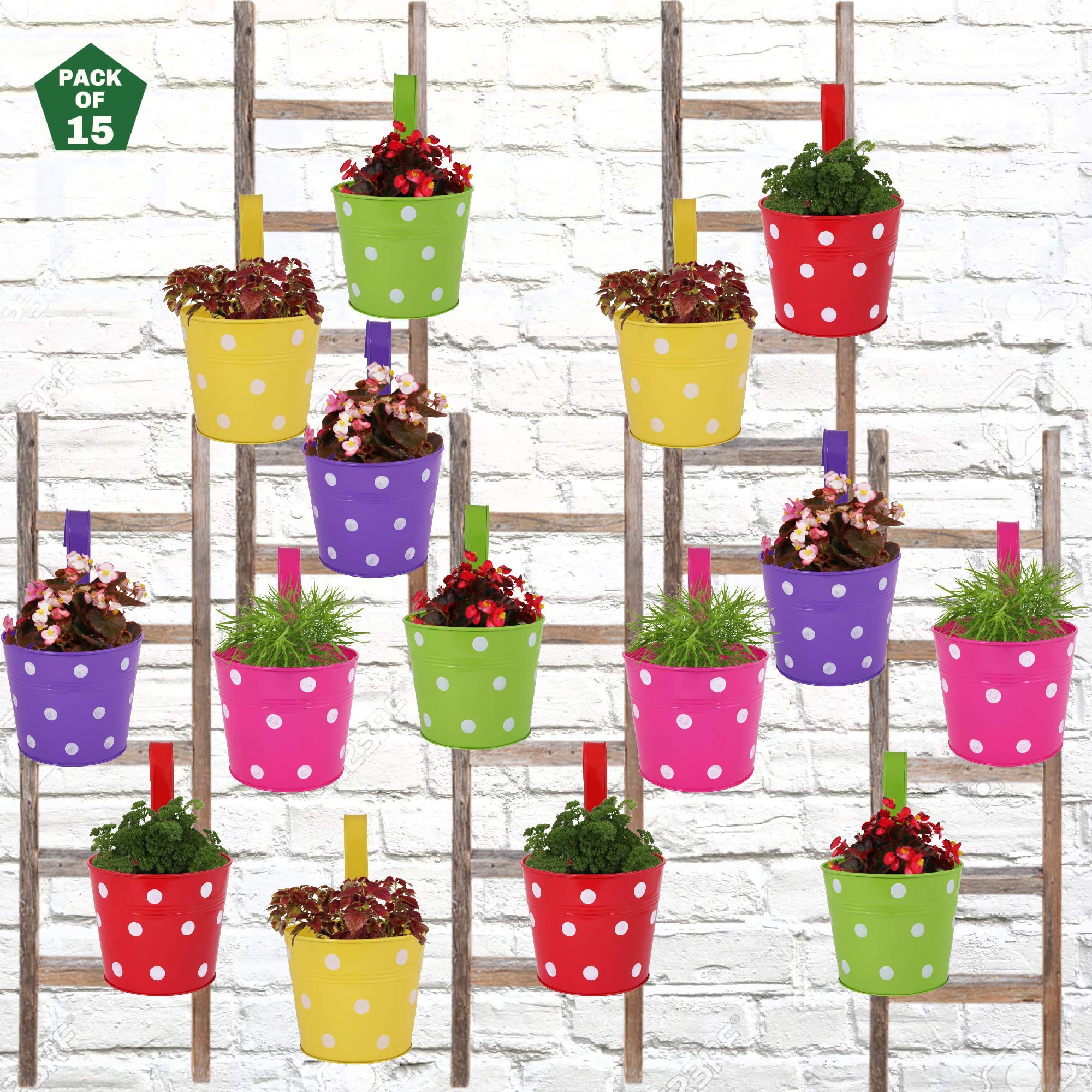 Leafy Tales Single Pot Metal Hanging Planter - Set of 15 (Rust Free - Red, Green, Yellow, Pink, Purple) - Single Hanger, 14 cm x 17 cm x 14.5 cm (B08ZXVQG8N) Amazon Price History, Amazon Price Tracker