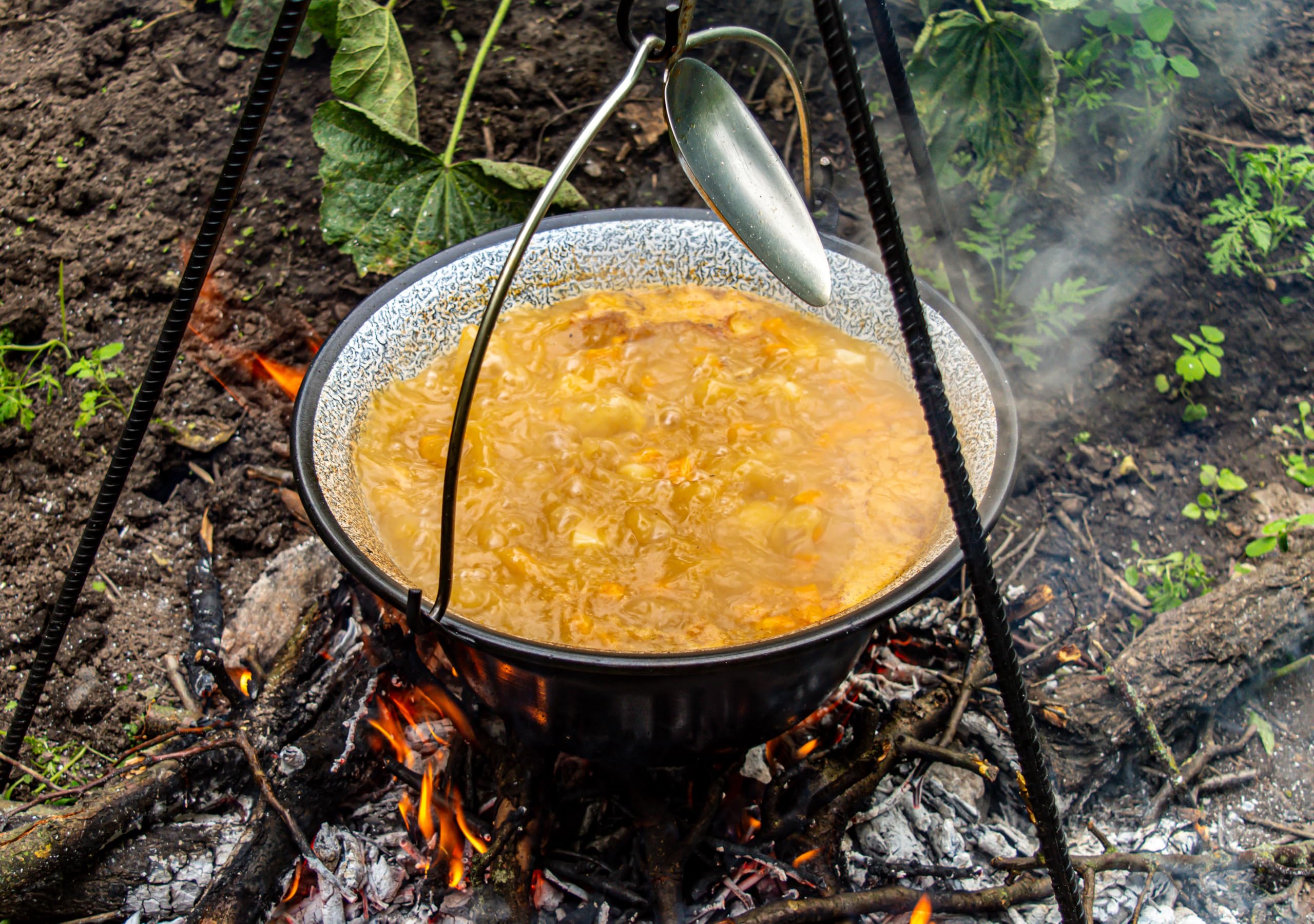 Hervidor de gulash húngaro, olla de pescado, caldera esmaltada para gulash olla para parrilla giratoria (caldera de 6 l)