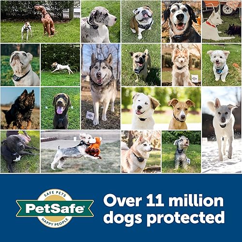 Miniatura 6 de PetSafe Correa de repuesto 34 para collar sin agujeros, para PetSafe Bark, valla inalámbrica, valla en el suelo y collares Pawz Away, color negro