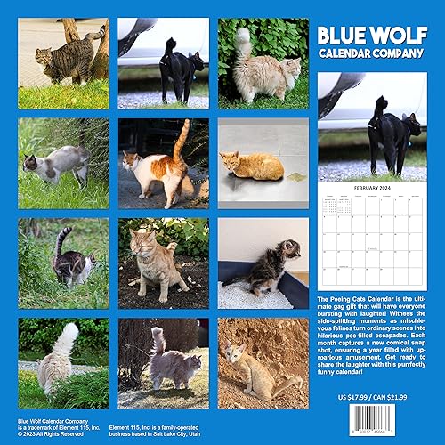 Miniatura 3 de Calendario mensual de pared 2024 de gatos divertidos que marcan el territorio, 12 x 24 pulgadas, regalo de broma, calendario 2024 para gatos