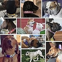 Vista 3 de Blueberry Pet - Collar de neopreno para perro con estampado floral suave y cómodo, más de 10 patrones