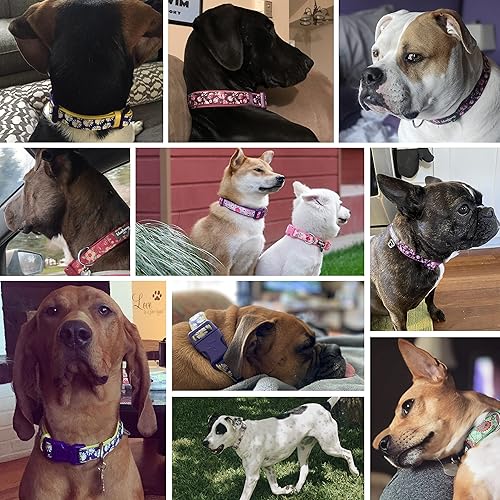 Miniatura 5 de Blueberry Pet - Collar de neopreno para perro con estampado floral suave y cómodo, más de 10 patrones