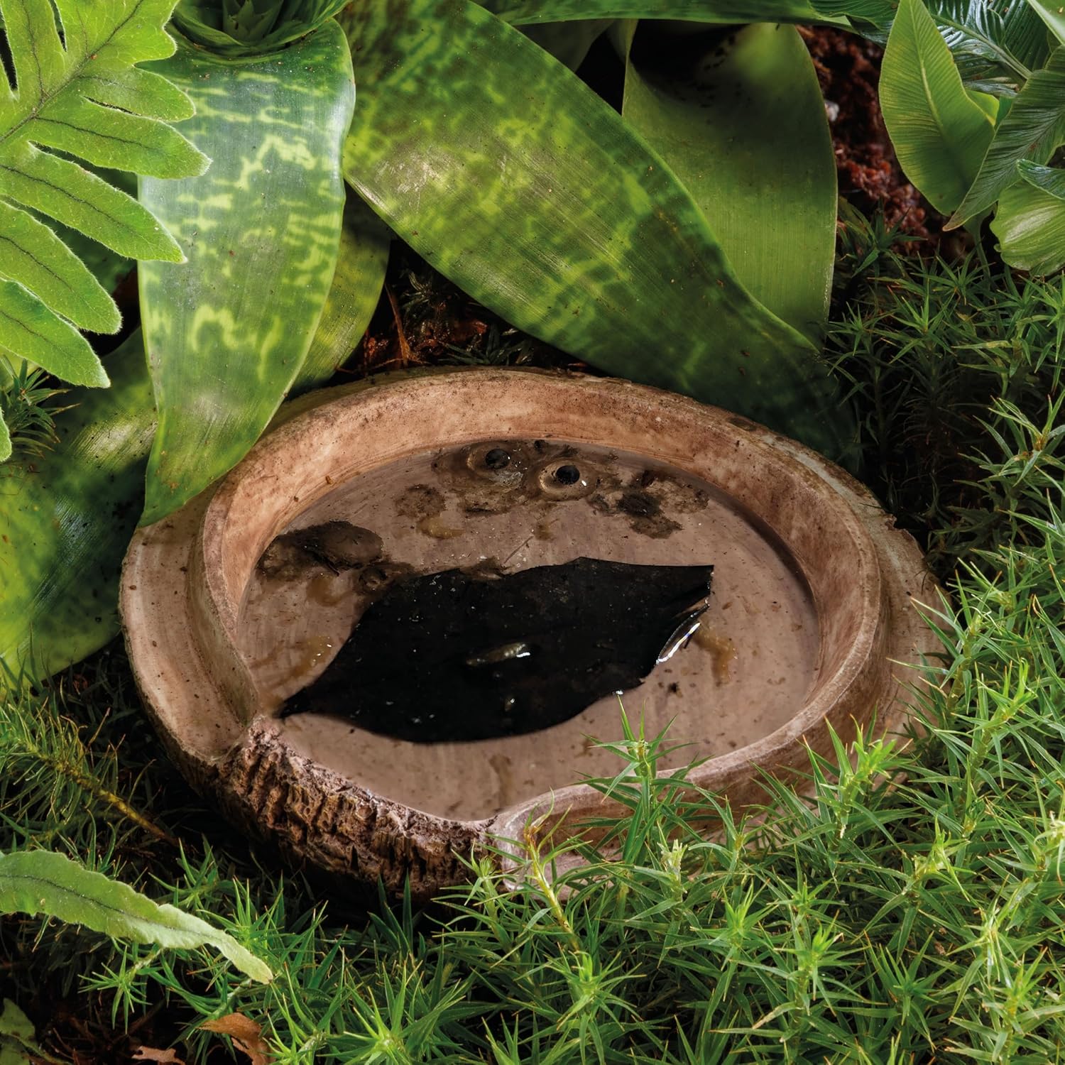 Exo Terra Cocount Cave, Reptile Terrarium Hideout