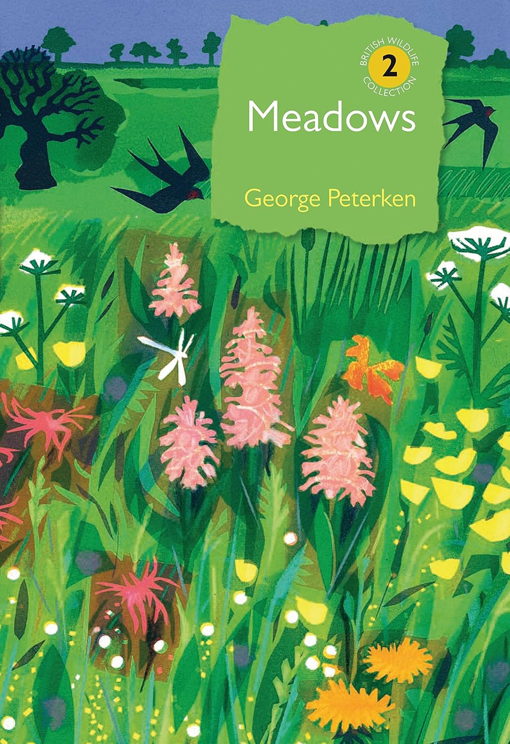 Meadows (British Wildlife Collection Book 2)