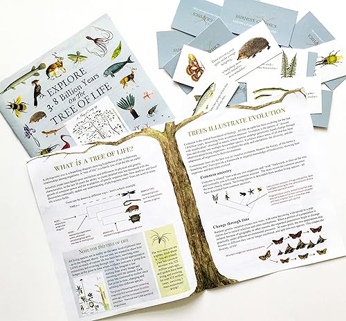 Vista 2 de Fairhope Póster impreso con diseño del árbol de la vida, historia natural de la vida existente, 24 x 36 pulgadas, laminado Laminado,No