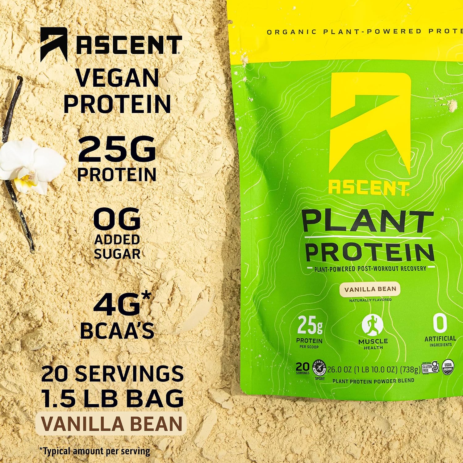 Ascent Plant Based Protein Powder - Non Dairy Vegan Protein, Zero Artificial Ingredients, Soy & Gluten Free, No Added Sugar, 4g BCAA, 2g Leucine - Vanilla