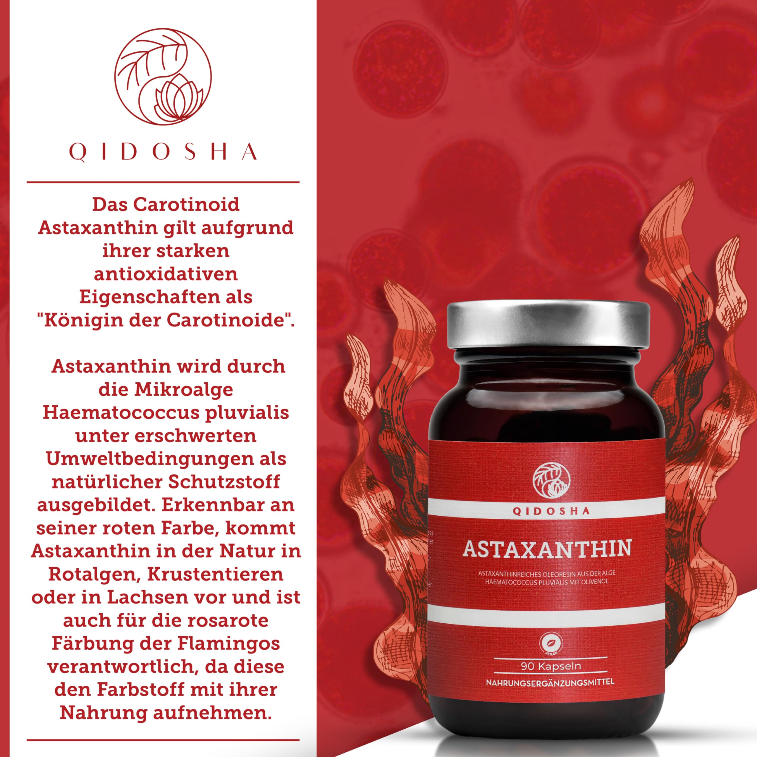 QIDOSHA® Astaxanthin 12 mg aus EU-Rohstoffen & Olivenöl, 90 vegane Kapseln im Apothekerglas, flüssiges Astaxanthin aus portugiesischer Algenzucht