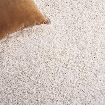 SAFAVIEH California Shag Accent Rug 2'x3', Soft Plush Ivory SG151-1212