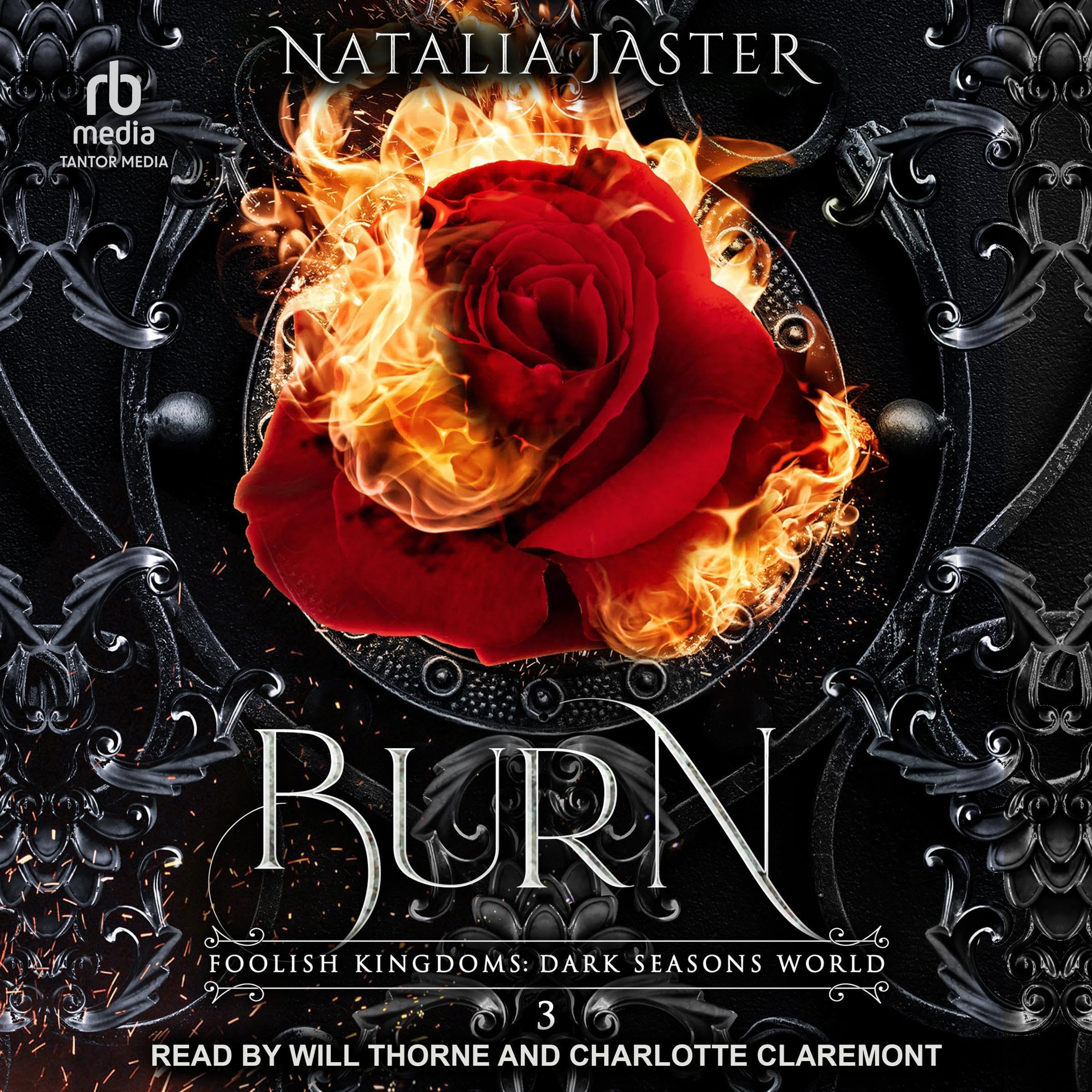 Cover art for Burn: Dark Seasons: Foolish Kingdoms, Book 3