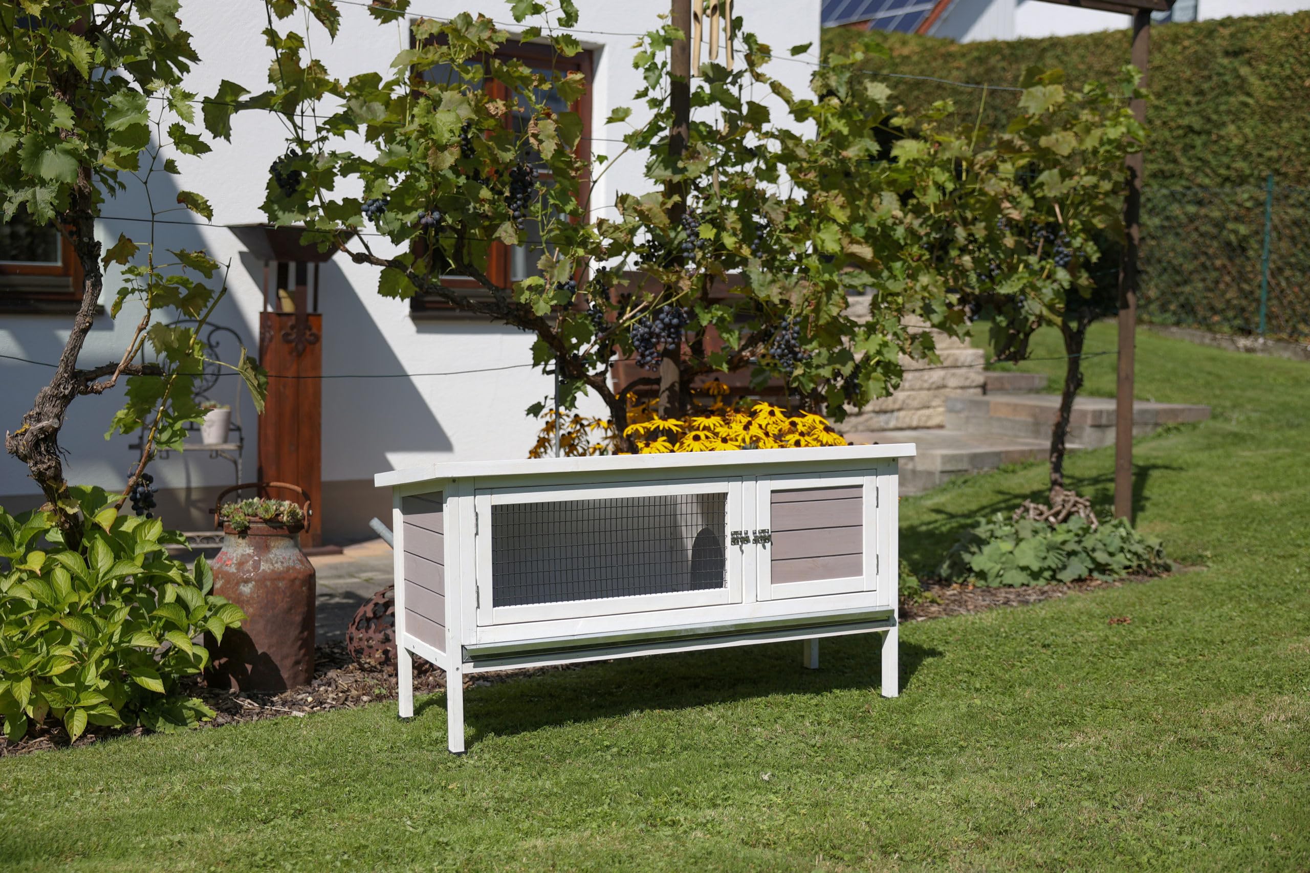 Clapier pour rongeur Freddy 116x45x62cm