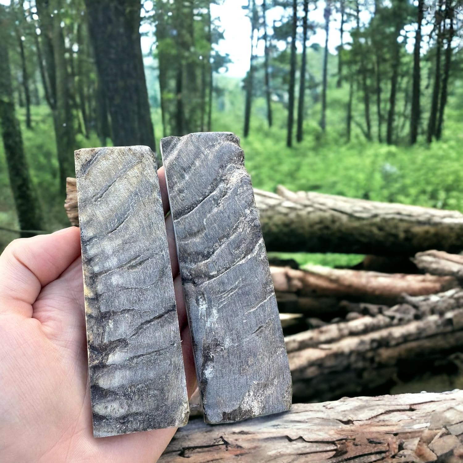 Malayan Products 2 Ram Horn Scales Knife Handle Making Premium Blanks 5 inch Unique Custom Knife Crafting Natural Material (Dark)