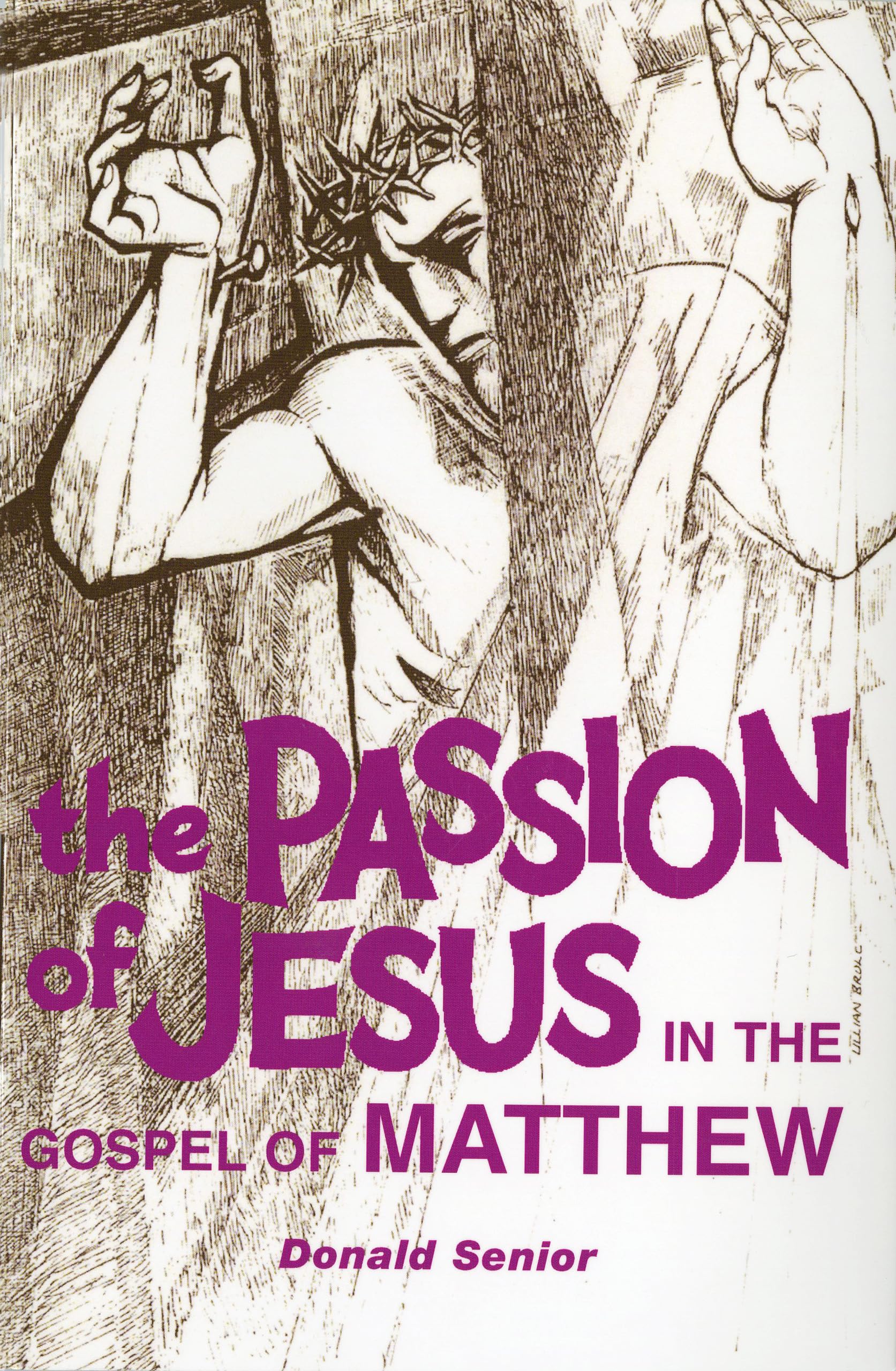 Buy Passion of Jesus in the Gospel of Matthew: 1 — BookShops.in
