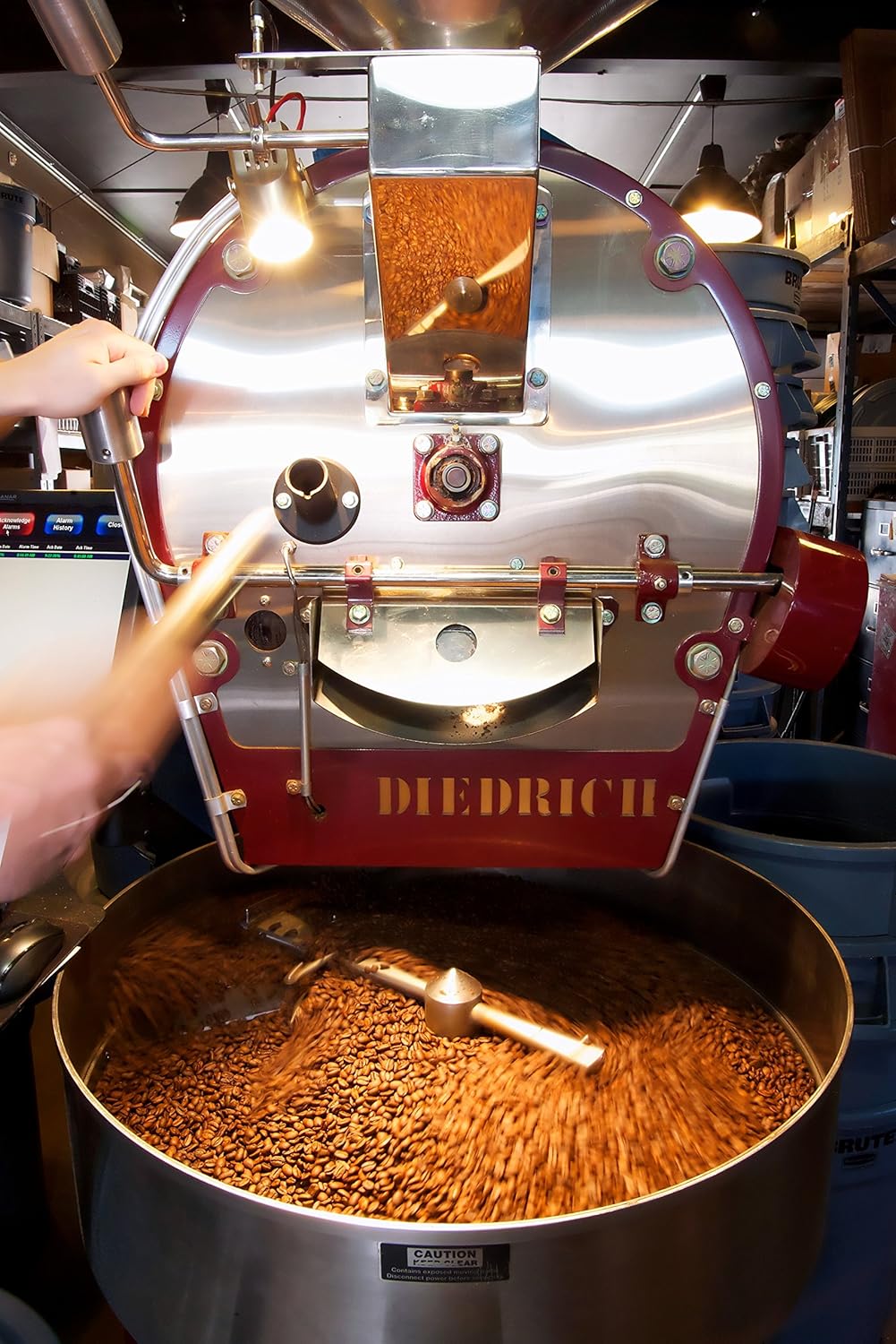 BUDDY BREW Old Florida Roast Whole Bean Coffee, 12 OZ