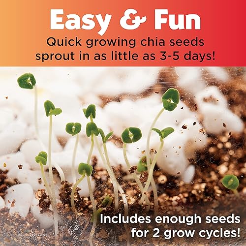 Miniatura 6 de Creativity for Kids Plant and Grow Woodland Forest kit de terrario Actividades para niños, ciencia educativa y manualidades para niños de 6 a 8