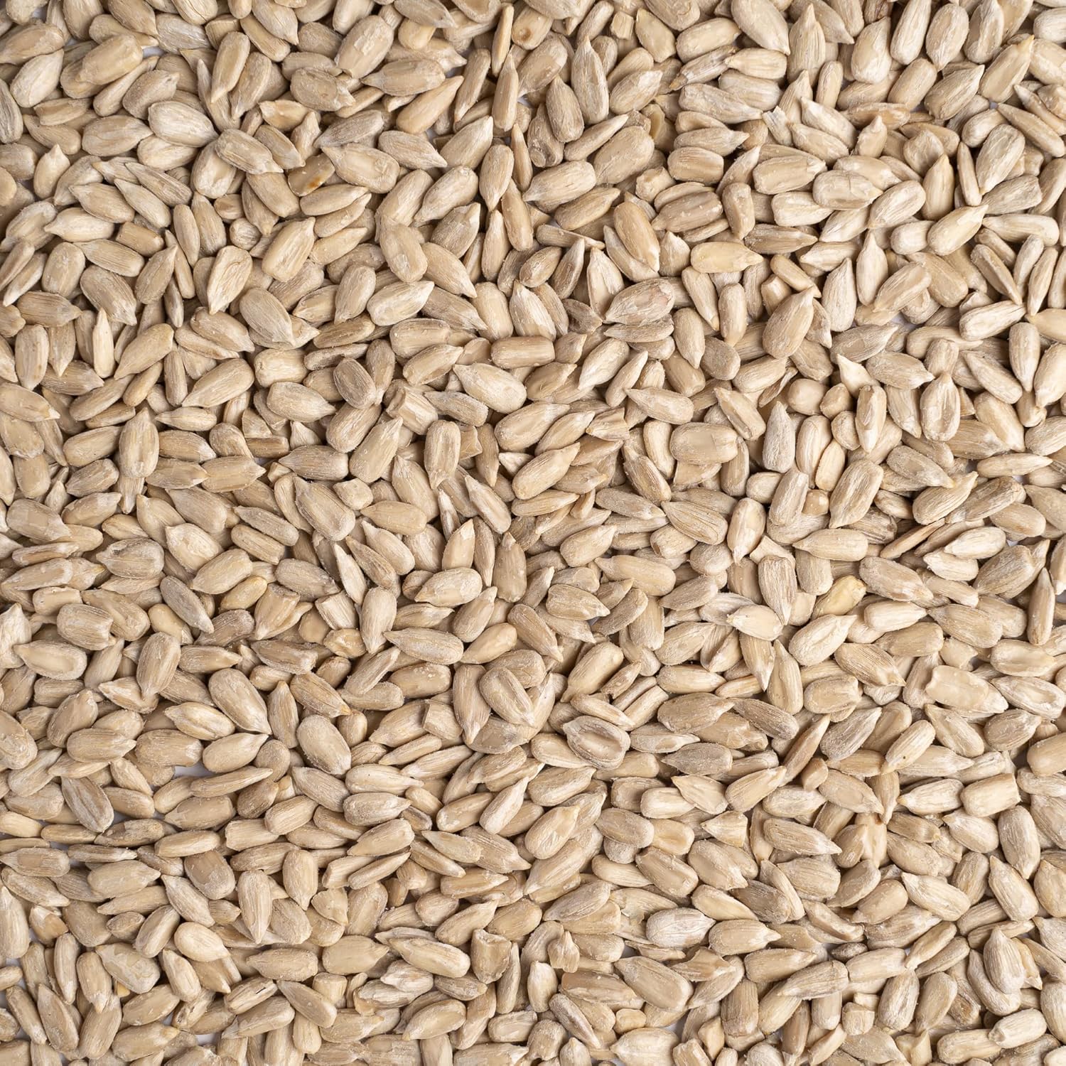 Top Seedz Certified USDA Organic Raw Sunflower Seeds | Premium Fresh and Unsalted, Shell-Free sunflower Seeds | Gluten-Free, Nut-Free, Vegan, Kosher, Keto, and Paleo | 1lb Resealable Pouch (Pack of 2)