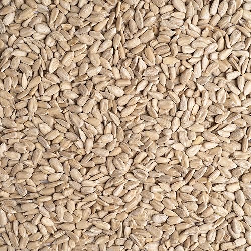 Miniatura 4 de Top Seedz Semillas de girasol crudas orgánicas certificadas por la USDA, frescas y sin sal, sin cáscara, sin gluten, sin nueces, veganas, kosher,