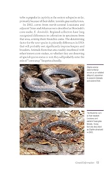 Corn Snakes: The Comprehensive Owner's Guide (CompanionHouse Books) Housing Requirements, Feeding, Breeding, Diseases and Disorders, Color and Pattern Variations, More