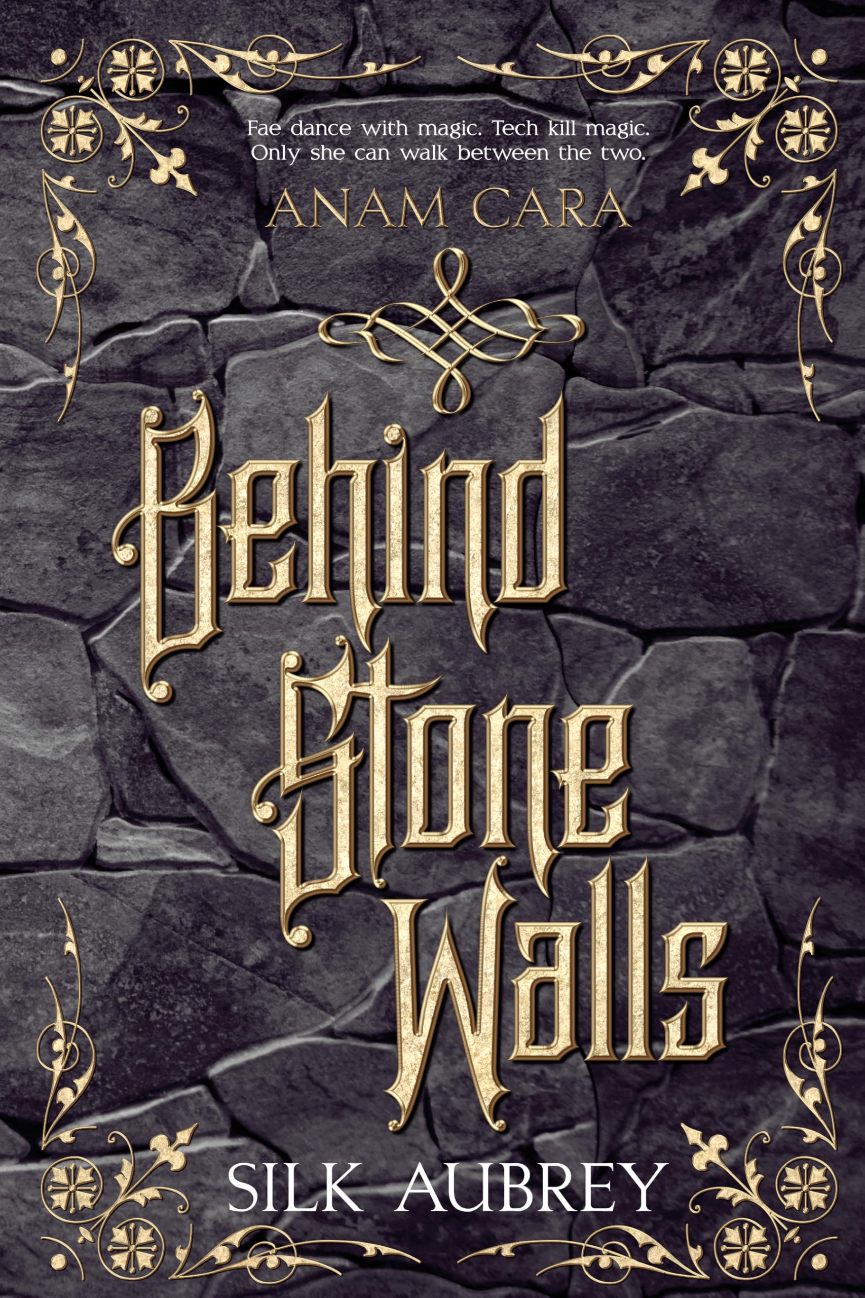 Behind Stone Walls: A slow burn sci fi fantasy reverse harem series (Anam Cara Book 2)