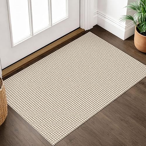IOHOUZE Alfombra de área pequeña de 2 x 3 pulgadas, lavable para entrada, antideslizante, parte trasera de goma, tapete para puerta delantera,
