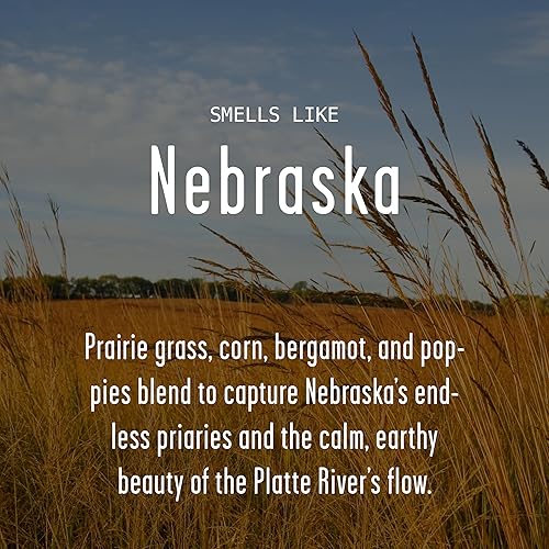 Vista 250 de Regalos de Nueva York, decoración de Nueva York para el hogar – 'There No Place Like New York Candle, con manzana jugosa, canela y calabaza I New