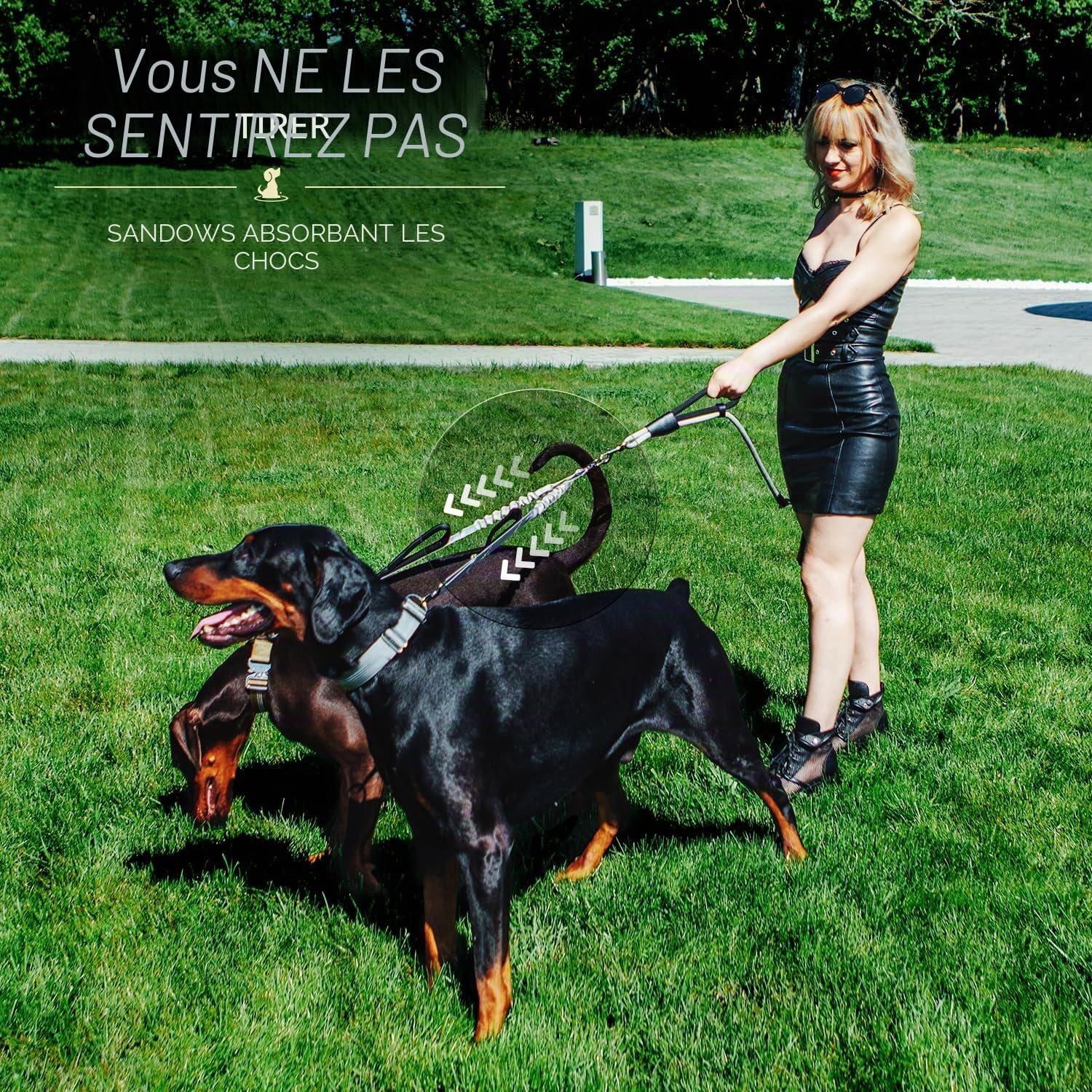 Laisse Double de qualité supérieure pour Deux Chiens - Absorption des Chocs et Anti-Traction - Double Laisse pour Chiens de Taille Moyenne et Grande avec Double Attache réglable pour 2 Chiens