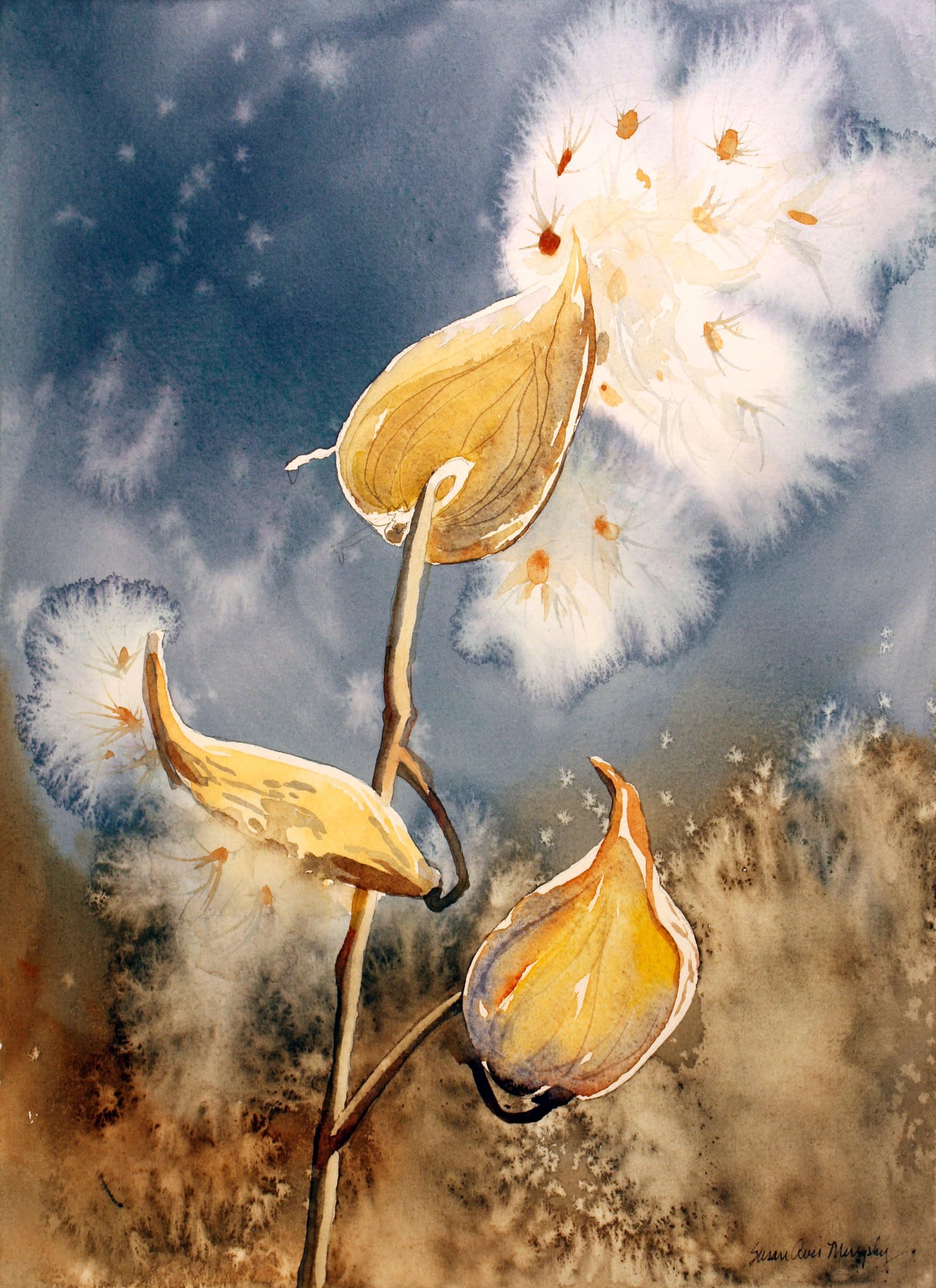 Style ARThouse Milk Weeds in Gray and Brown, Archival Print of Watercolor, Nature Picture of Fall Plants, 10 X 13 Inches