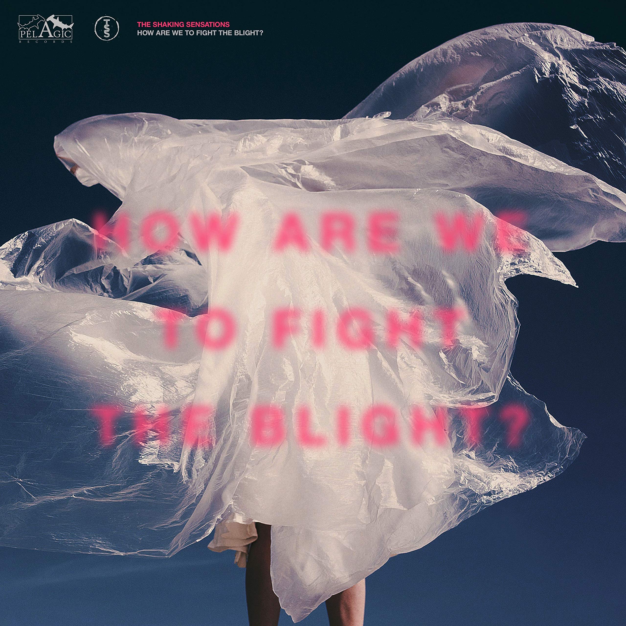 Shaking Sensations, The How Are We To Fight The Blight? CD New 4059251339090