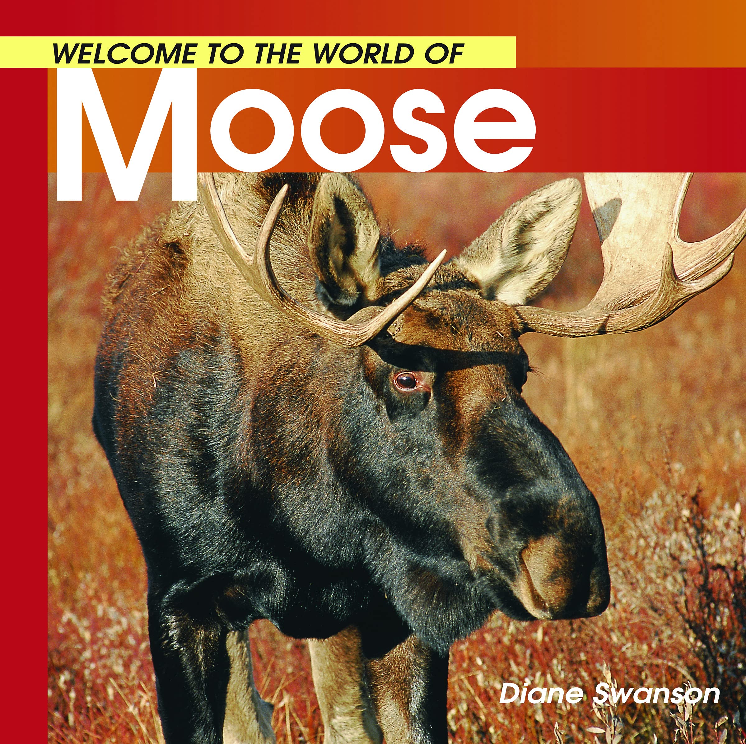 Welcome to the World of Moose