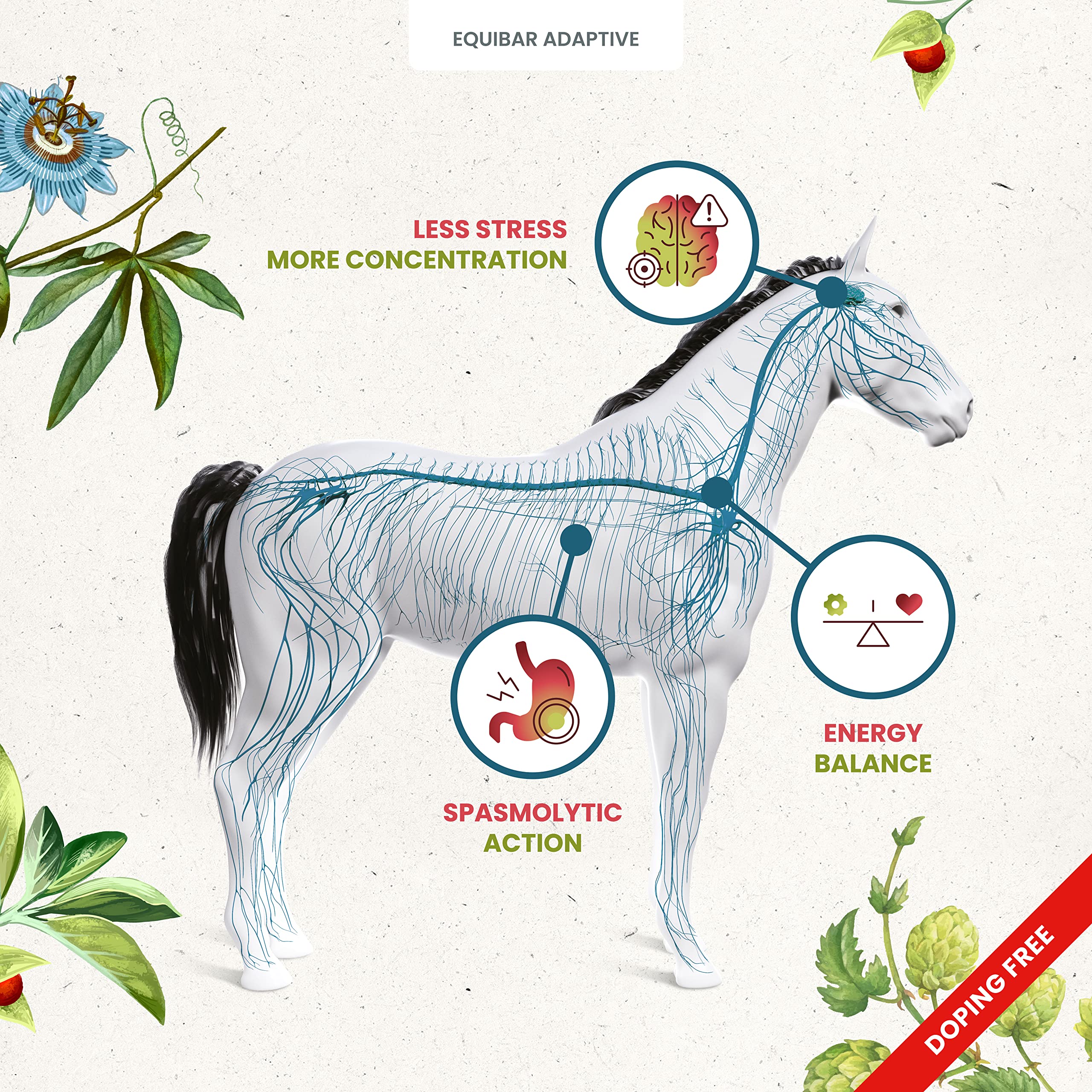 Guidolin Horses Equibar Adaptive® Barretta funzionale per il benessere psico-fisico e la concentrazione del cavallo 100% naturale doping free 2Kg