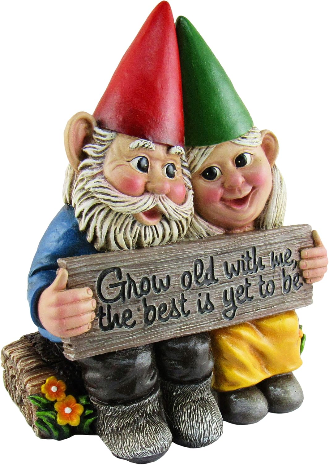 DWK 5.75" Growing Old Together Garden Gnome Couple in Love Best Friends Collectible Statue for Indoor Outdoor Garden and Home Decor