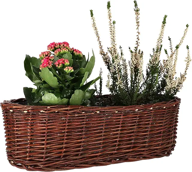Vaso in vimini ovale per fiori e piante, cesto naturale 40 cm - KOTARBAU