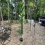 Review Image by Palm Harbor Appraiser Palm Harbor Appraiser