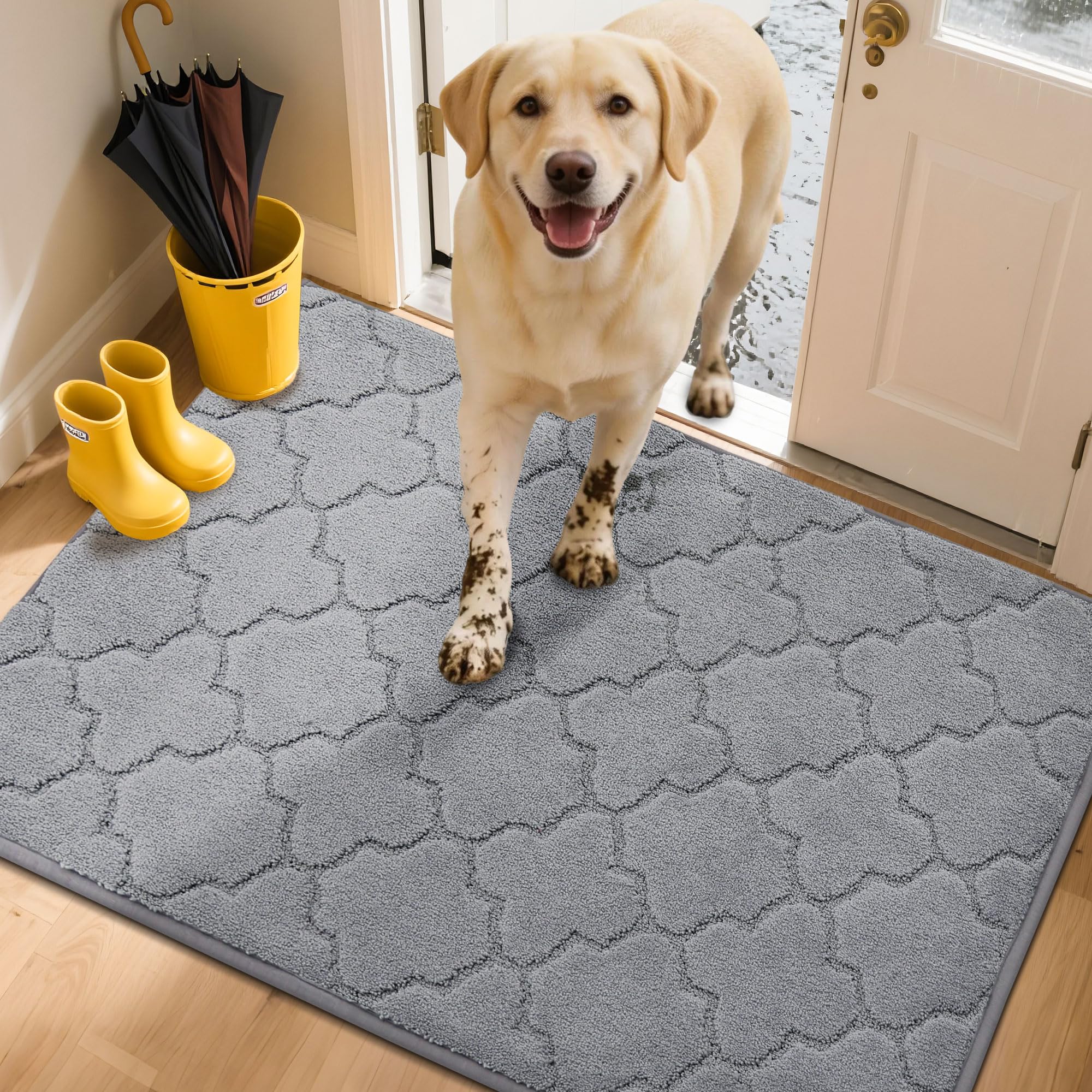 COSY HOMEER Fussmatte Innen, Schmutzfangmatte Waschbar 1,5 cm Dicke, Eingangsteppich Sauberlaufmatte Hundeteppich Maschinenwaschbar für Flur, Küche, Hintertür