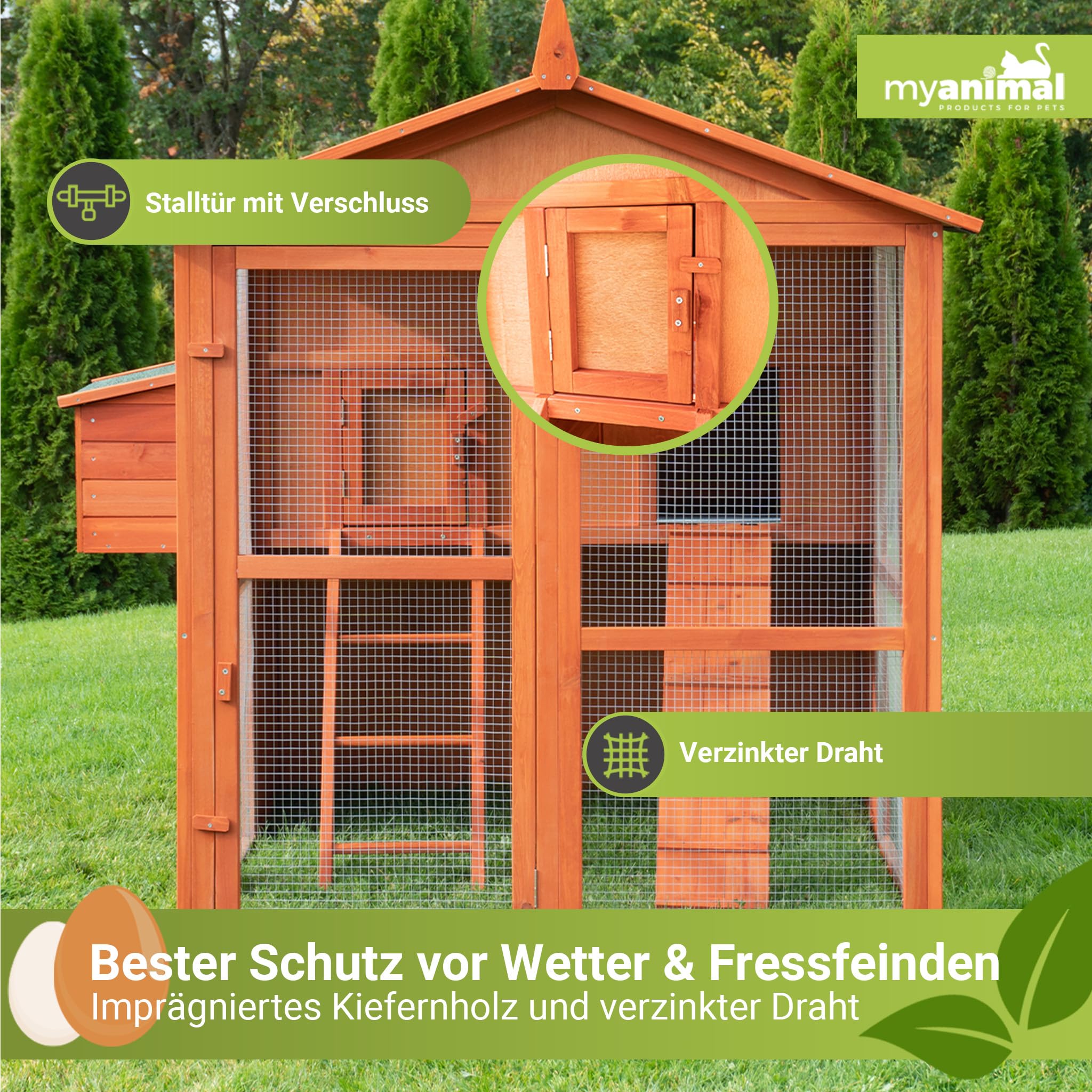 Miweba MyAnimal Hühnerstall XXL für 7 Hühner | 186x146x147 cm Winterfest - Vogelhaus - Hühnergehege mit Nistkasten - Voliere - Hühnerhaus - Freilaufgehege Huhn - Legenest - Vogelvoliere (Braun)